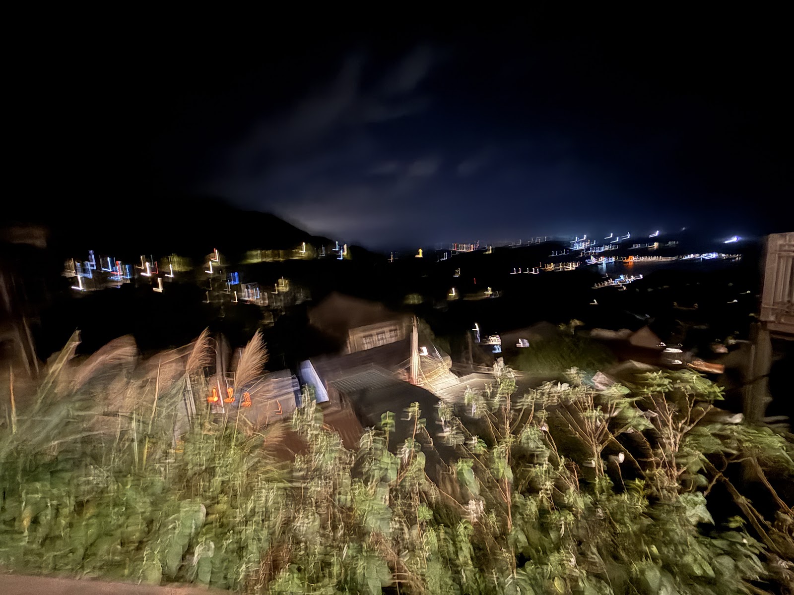 九份山城深夜，前景野草搖曳，遠方港口燈火在夜色中點點閃爍