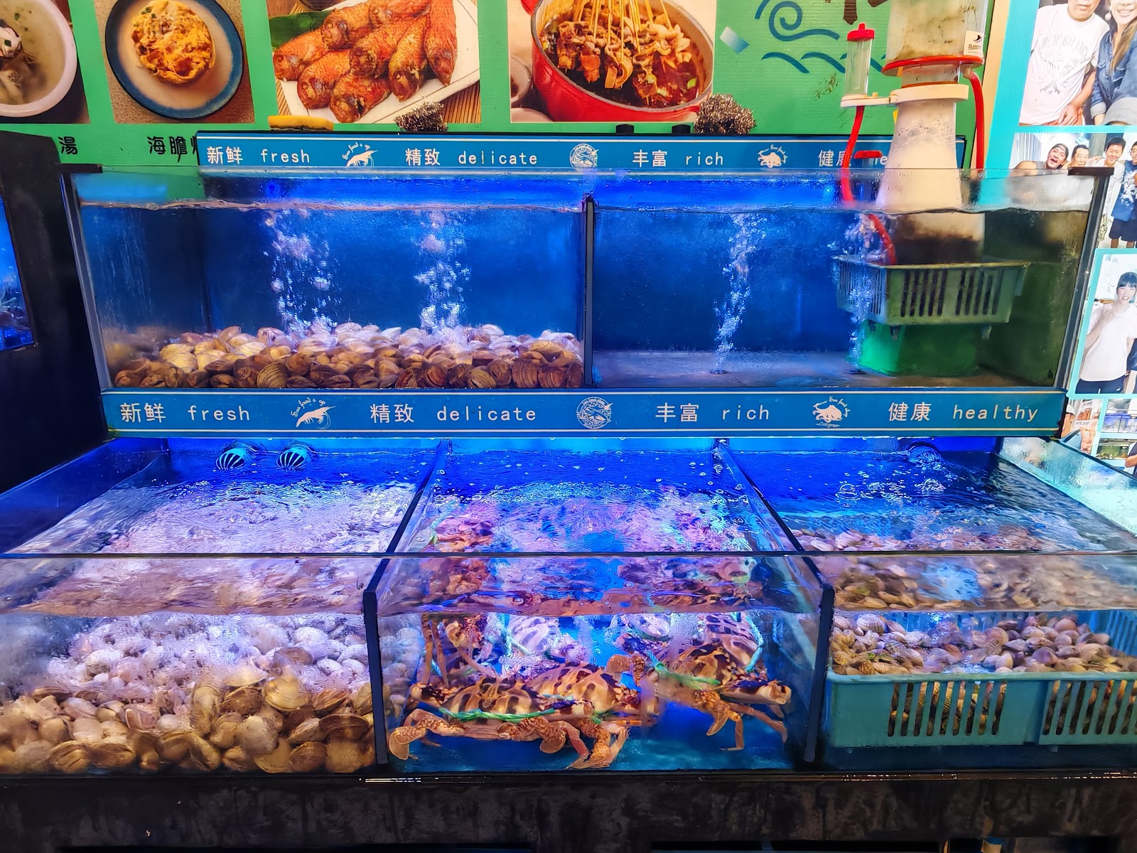 臨海樓澎湖活體海鮮展示箱