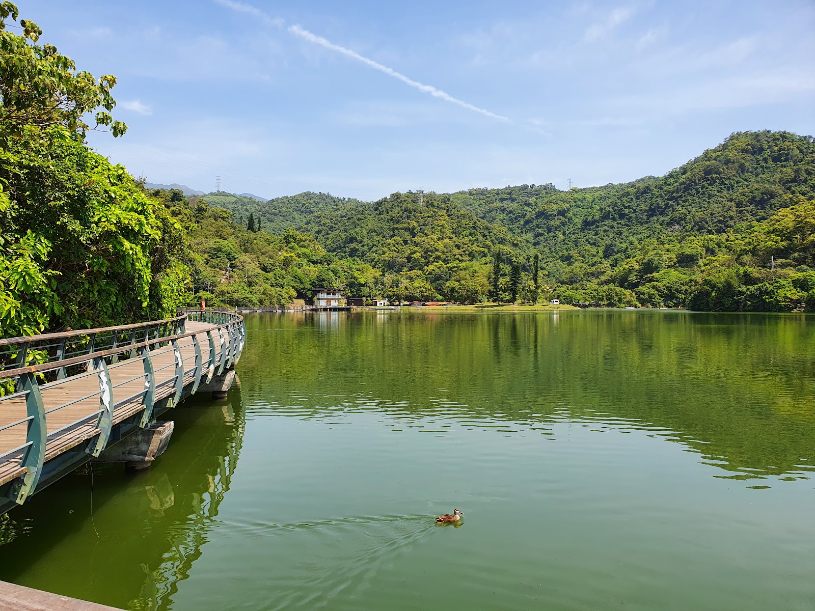 龍潭湖水鴨悠游環湖木棧道礁溪景點