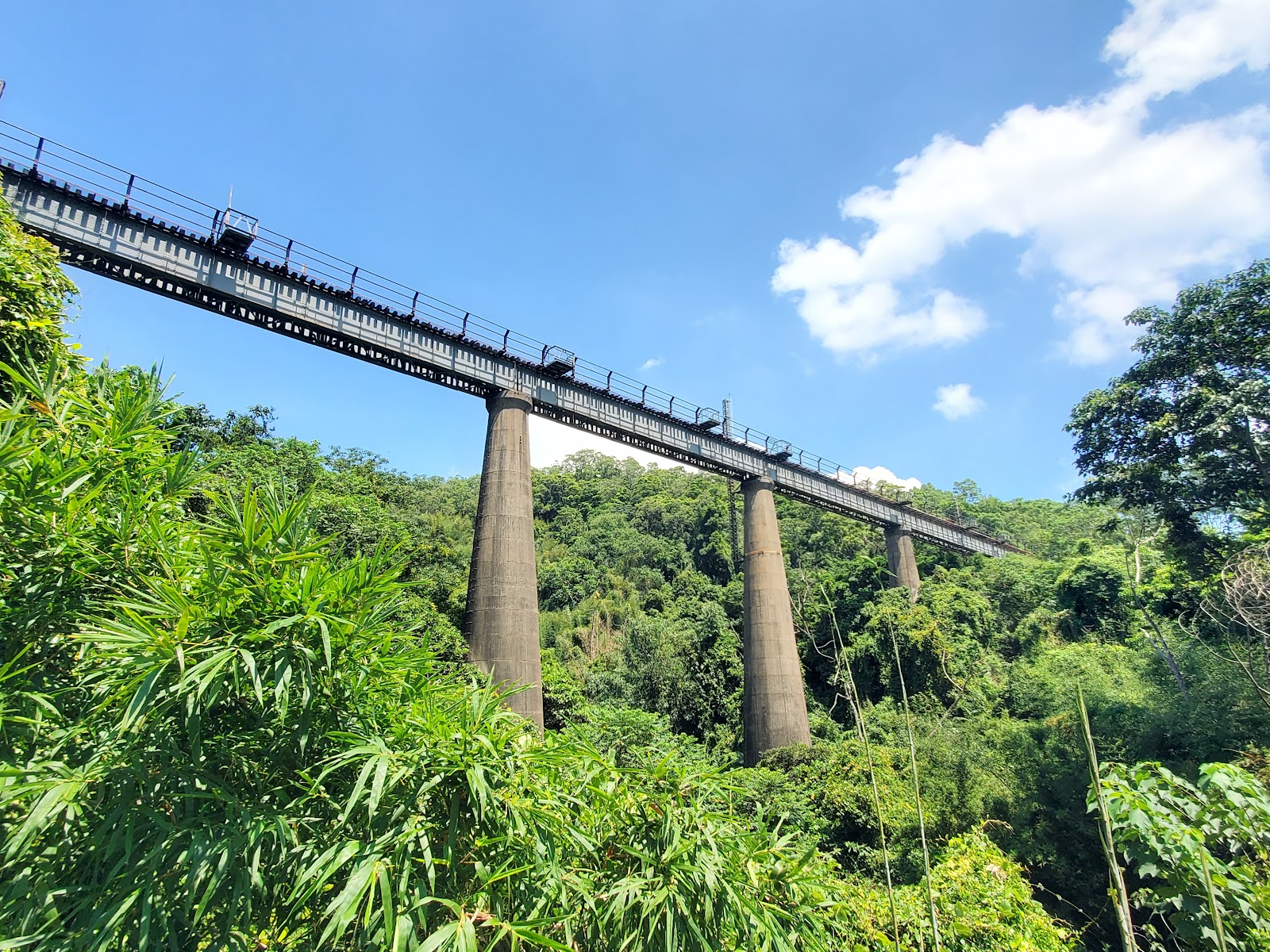 舊山線附近山谷高架橋，兩根灰色橋墩撐起現代橋樑，綠林環繞