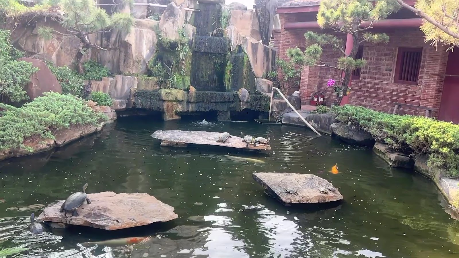 鹿港龍山寺殿堂內部，古樸莊嚴的宗教氛圍