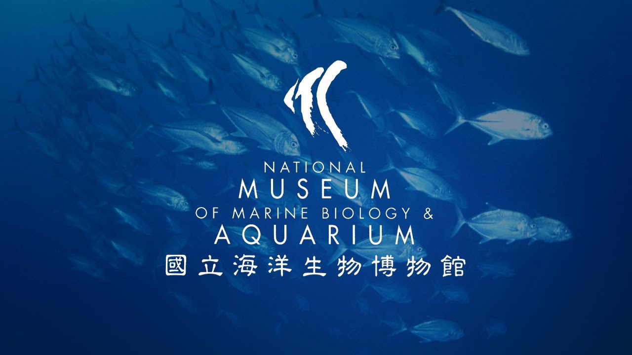 國立海洋生物博物館官方logo 深藍海洋魚群背景