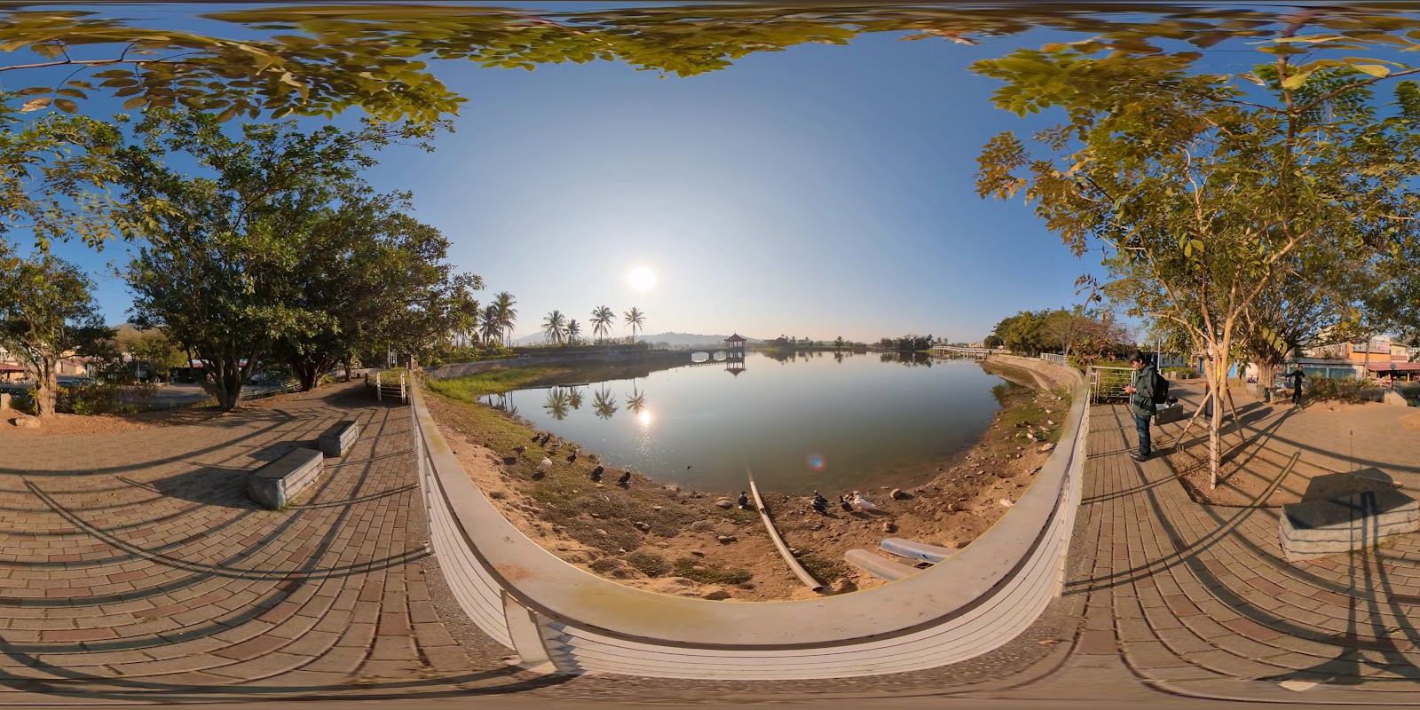 美濃湖環湖步道全景，椰子樹倒影，360度湖景
