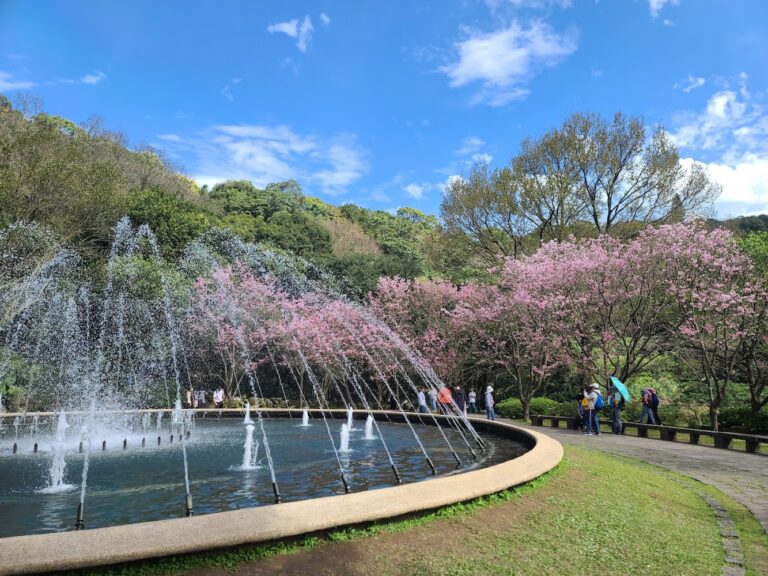 陽明山花瀑懶人包｜花鐘、噴水池、瀑布景點一次收錄的賞花散步攻略