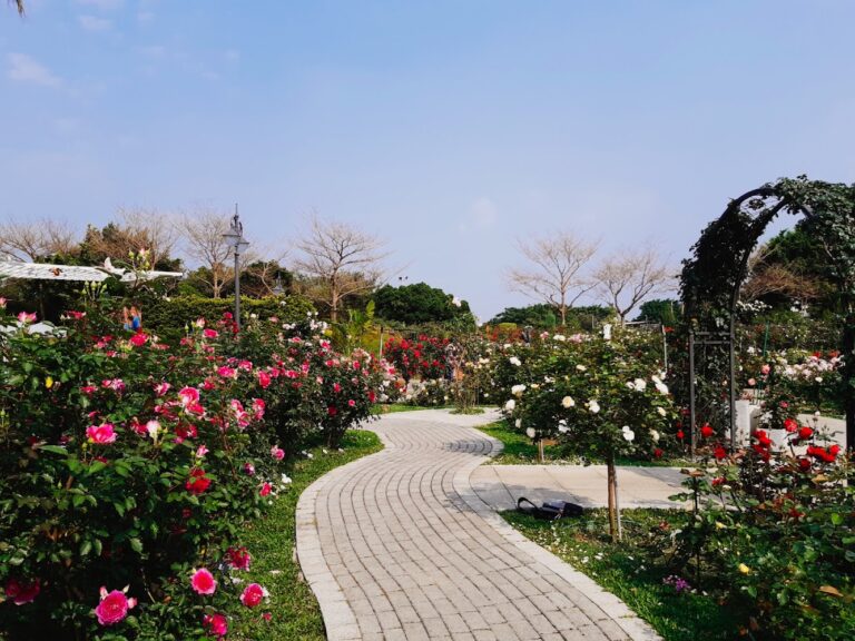 圓山園區純白仙境懶人包｜花博公園、爭艷館、玫瑰園到圓山自然景觀公園一次玩透