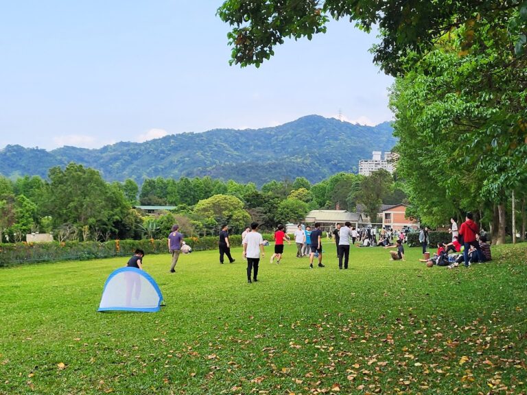 文山農場螢火蟲深度攻略：新店近郊賞螢、露營、茶園與親子一日遊完整評測