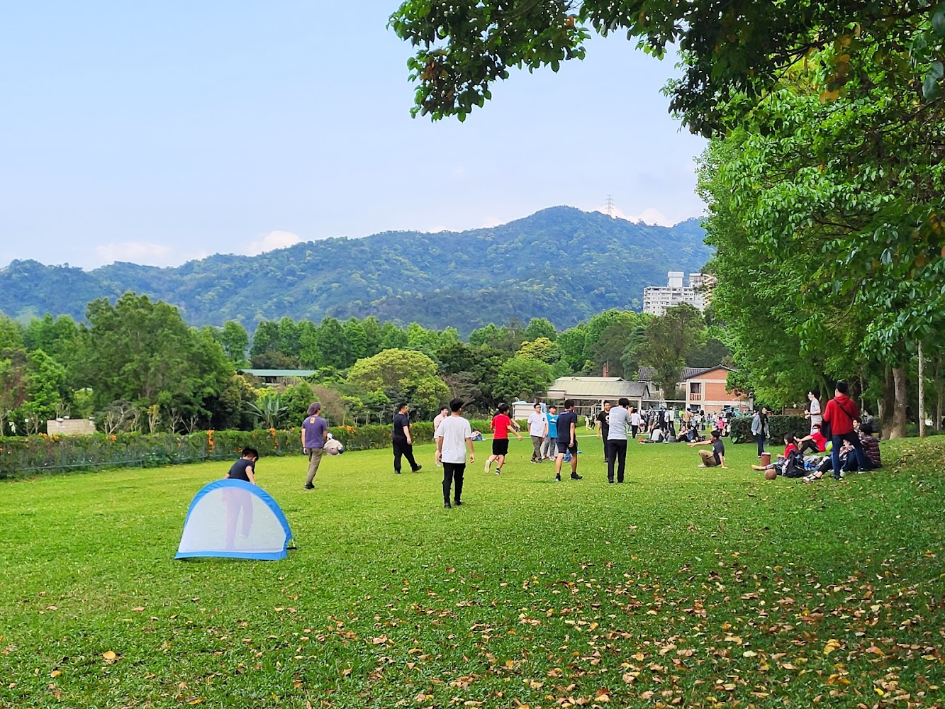 文山農場螢火蟲深度攻略：新店近郊賞螢、露營、茶園與親子一日遊完整評測