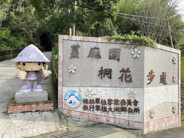 大湖薑麻園懶人包｜雲海步道、薑母茶、農村山景一次玩懂