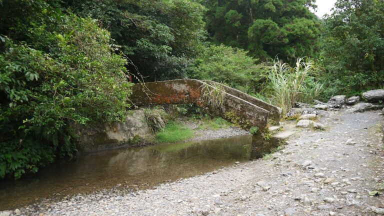 坪溪古道深度攻略：淡蘭古道最療癒的森林溪谷步道，水路陸路一次玩懂