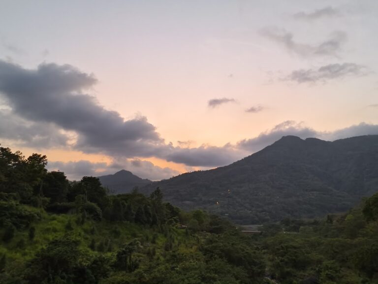 夏日賞螢秘境 那瑪夏神秘賞螢步道深度體驗與行前攻略