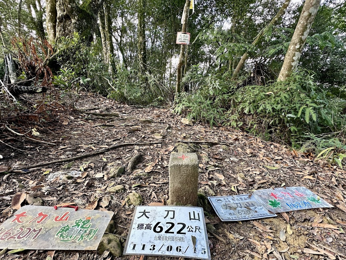 大刀山步道深度評測：烏來原始森林感路線、登頂難度與內洞林道順走攻略
