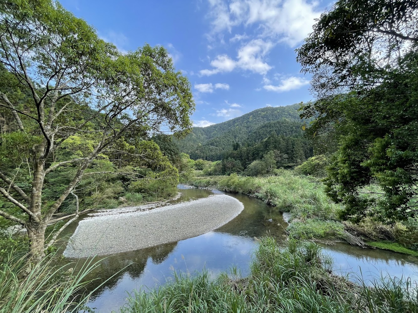 阿玉溪山懶人包：阿玉溪、桶後林道阿玉溪、阿玉山一次看懂玩法與路線重點