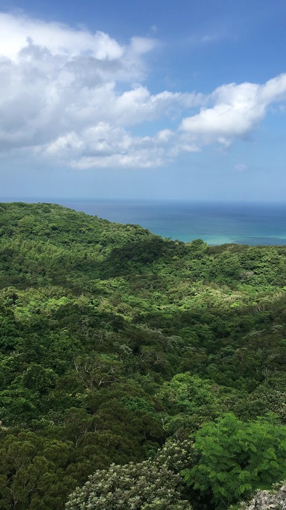 梅花鹿天堂懶人包｜4個全台必去賞鹿互動景點，親子餵鹿、療癒拍照一次看
