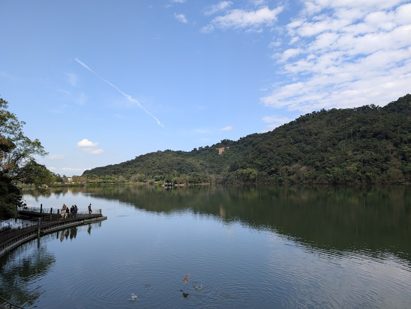 梅花湖風景區遊客中心深度開箱：環湖散步、搭船遊湖、租車美食與親子慢旅行攻略