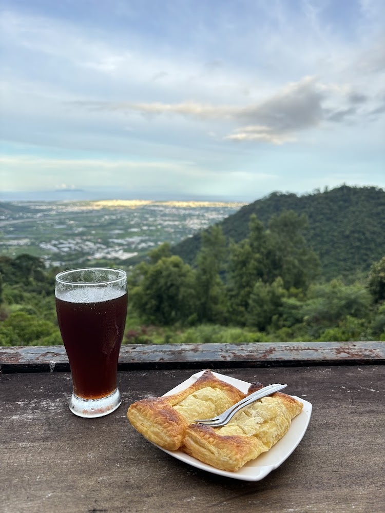 台東夜景達喇尉森林咖啡園深度評測：山城夜景、野菜火鍋與森林咖啡的一晚