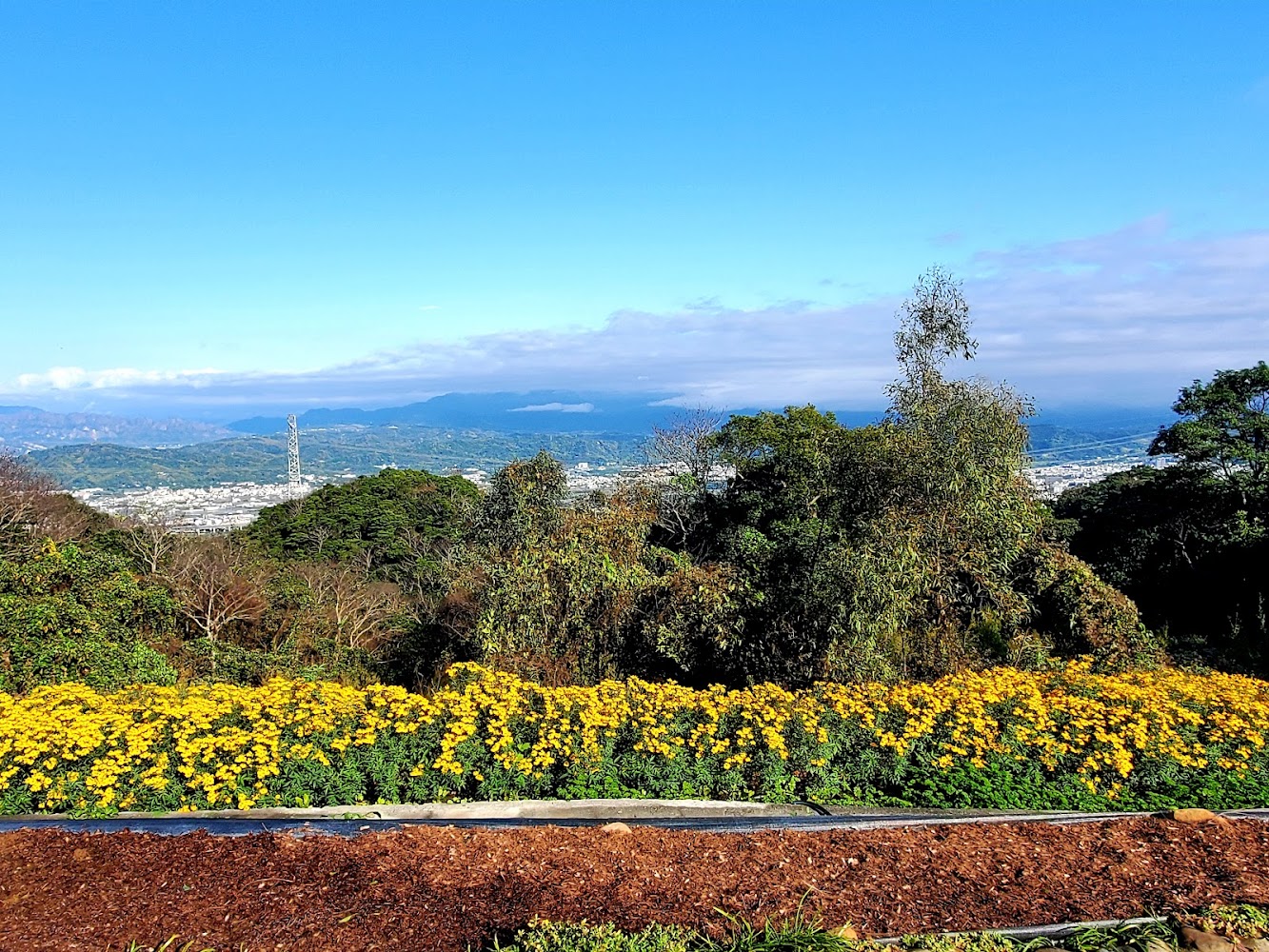 29號花園深度開箱 南投山景花園農場與咖啡體驗一篇看懂