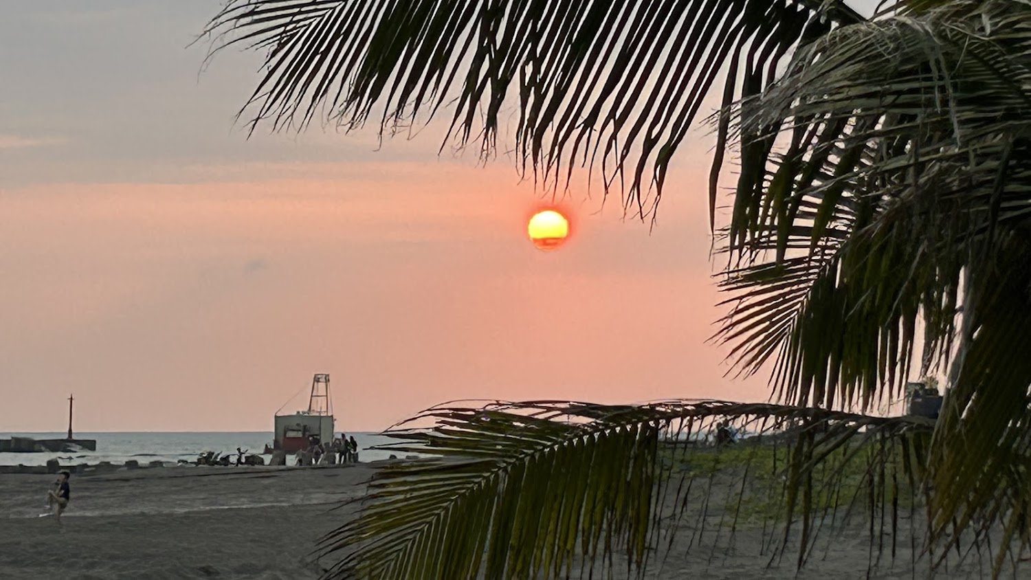 青洲灣深度旅行指南：沙灘、沙雕、夕陽與裝置藝術一次玩透