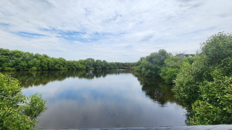 鳥仔咖鵬村濕地公園深度開箱:屏東東港療癒系咖啡館與濕地生態散步秘境