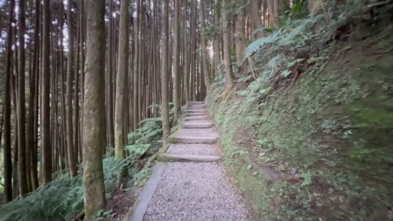遊客最愛國旅景點懶人包：10大台灣人氣景點一次看，親子放電、山海美景與打卡熱點全收錄