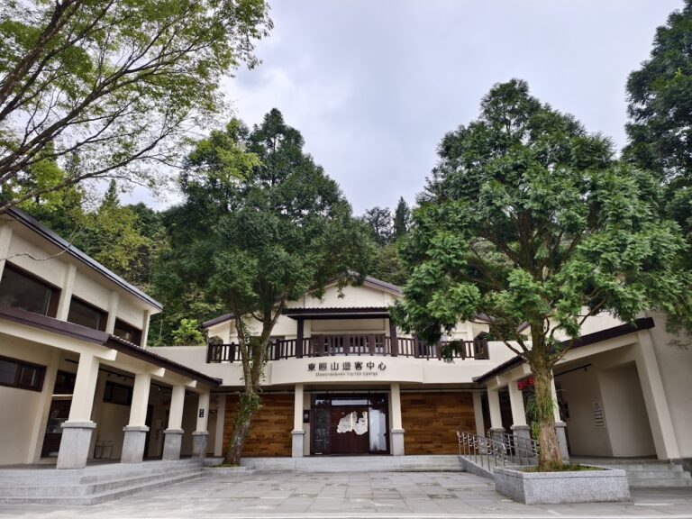 東眼山遊客中心深度開箱,森林步道、展館空間與親子避暑行程一次看