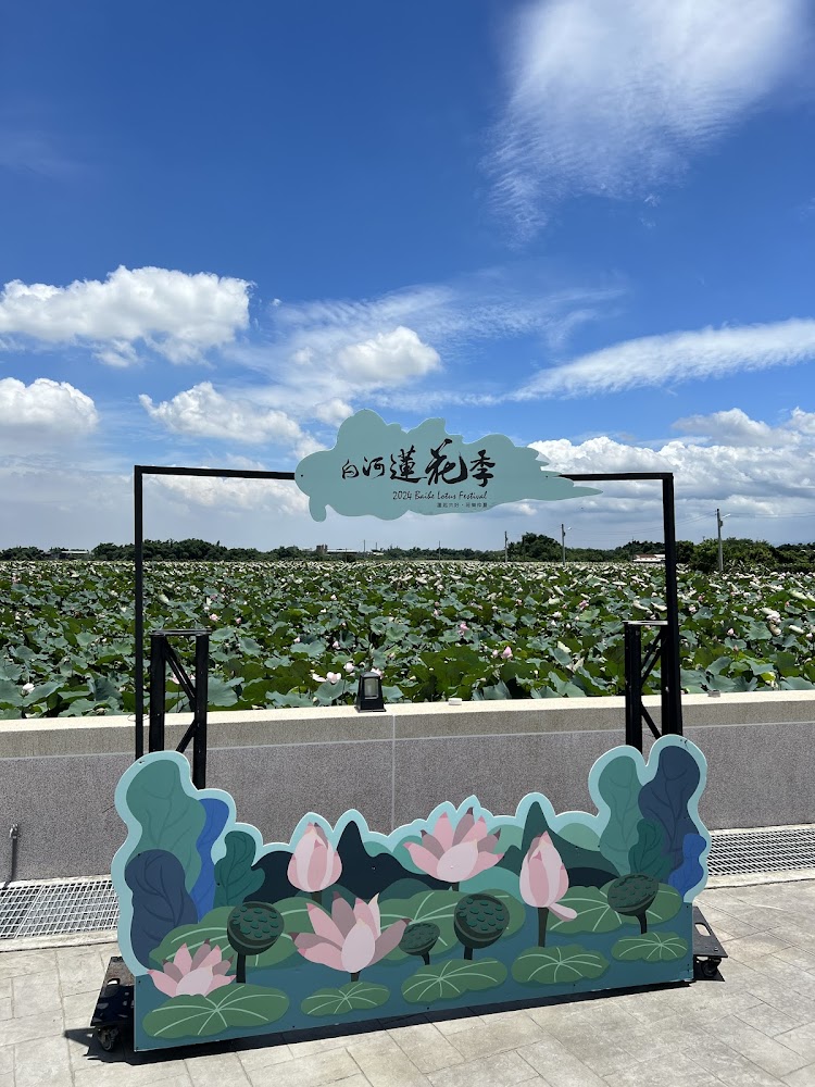 初夏賞蓮懶人包 8個白河與桃園人氣蓮花景點一次看