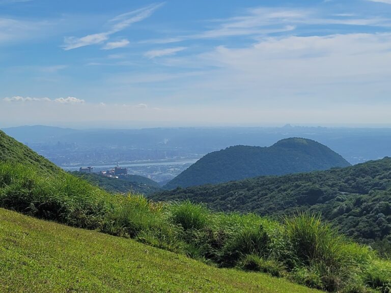 擎天崗懶人包：草原步道、水牛景觀、遊客服務站一次看懂