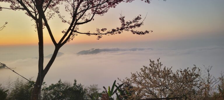 山景露營懶人包：精選 8 間台灣必收口袋名單，從豪華露營到夜景山營地一次看