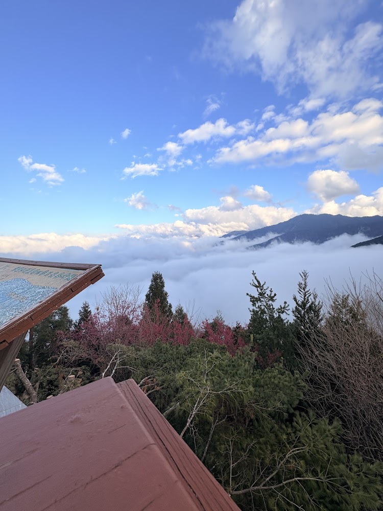 雪霸休閒農場雲霧西餐廳深度評測：高山景觀、自助吧與西式主餐一次看