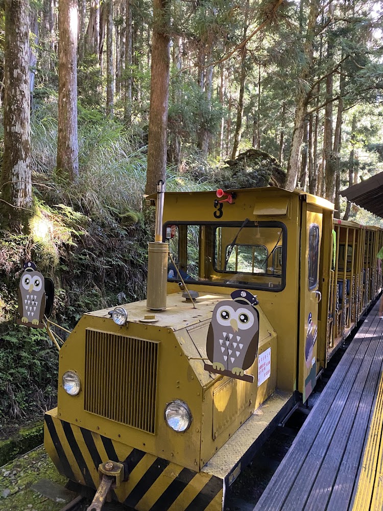 太平山深度旅行指南：森林步道、蹦蹦車、雲海湖景一次玩懂
