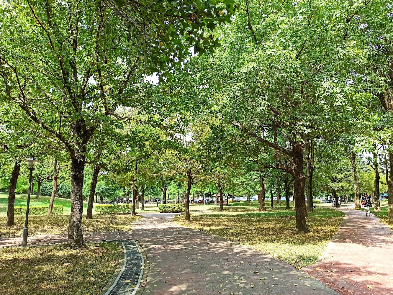 大溪埔仁公園懶人包 與埔頂公園一起玩最完整親子散步攻略