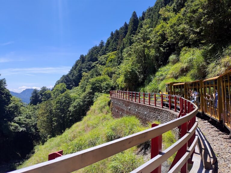 太平山莊深度旅行提案：太平山國家森林遊樂區住宿、蹦蹦車、見晴古道一次看