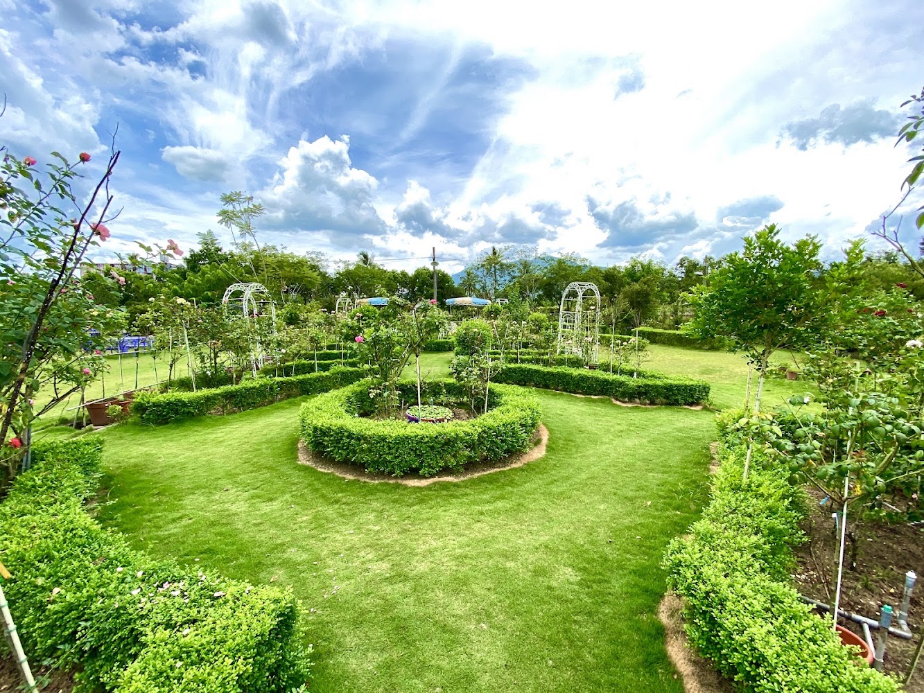 高雄杉林小份尾幸福田深度開箱：玫瑰花園、親子庭園與門票餐飲一次看