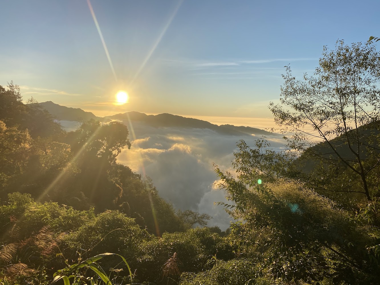 雲海秘境懶人包：8處台灣山林雲海景點、步道與住宿一次看