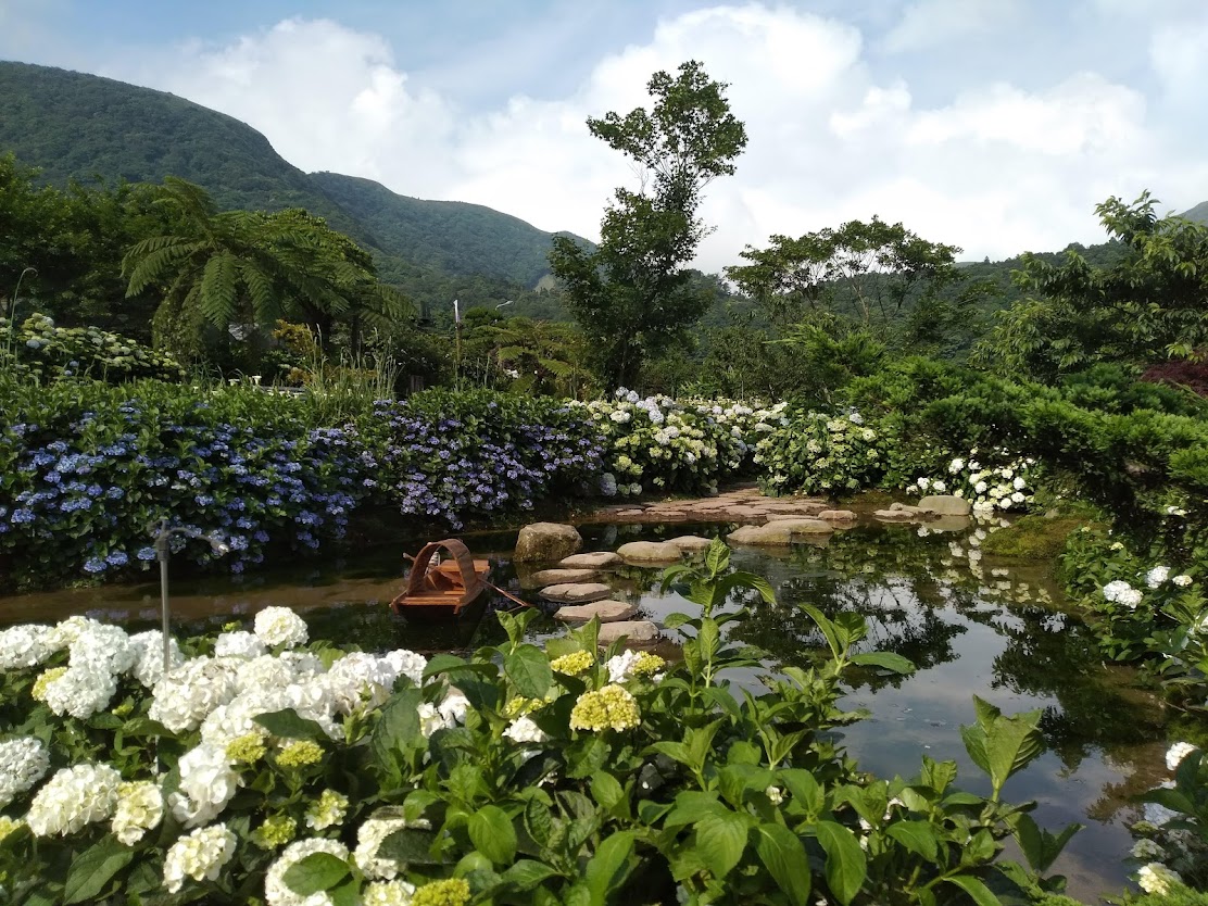 竹子湖繡球花季攻略｜花與樹繡球花園深度評測、門票資訊與拍照亮點一次看