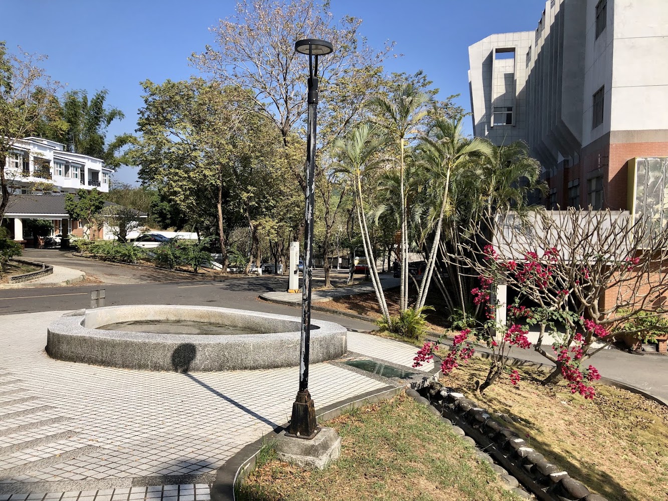 高師大燕巢校區泥火山深度攻略：校園裡就能看到冒泡地景的特殊景點體驗