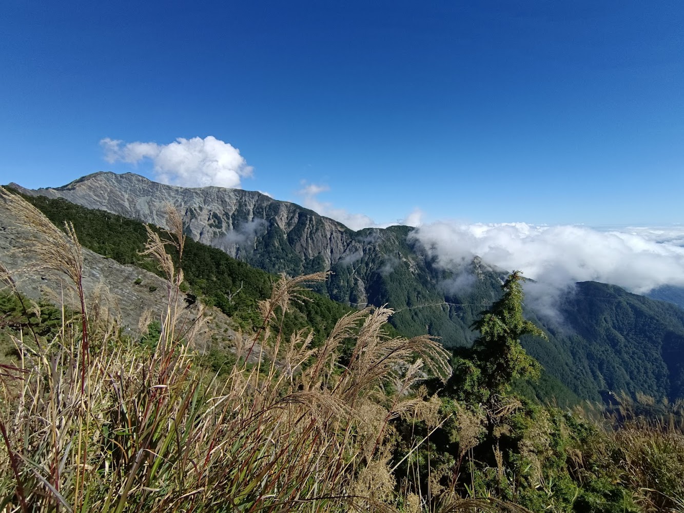 關山嶺山深度評測：南橫百岳入門名峰的碎石坡、拉繩稜線與雲海風景全解析