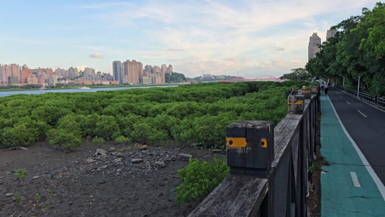 八里左岸單車懶人包 2大必騎景點與沿線玩法一次看