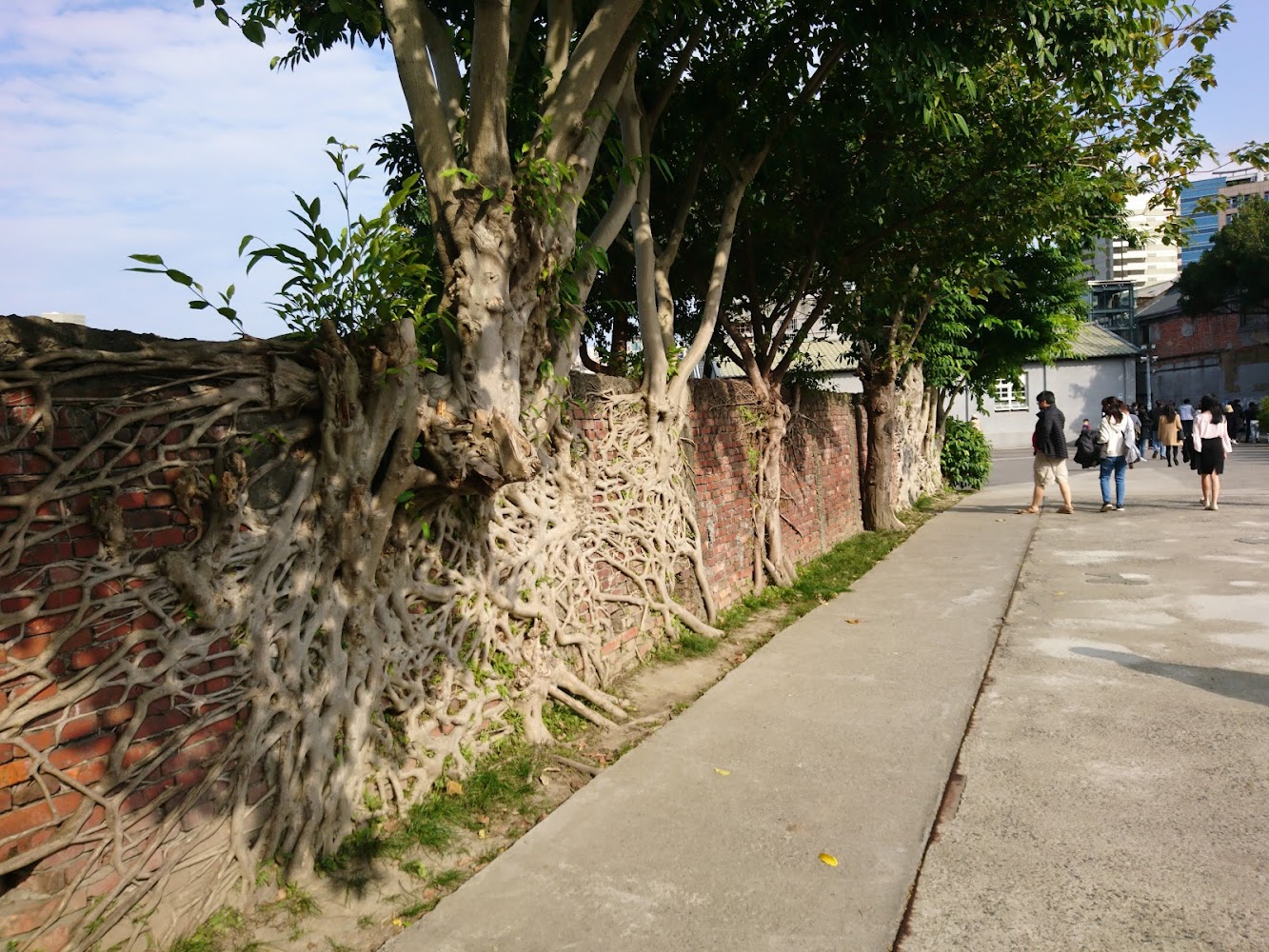 華山吉伊卡哇特展順遊攻略：華山1914文化創意產業園區展覽、拍照亮點與園區深度評測