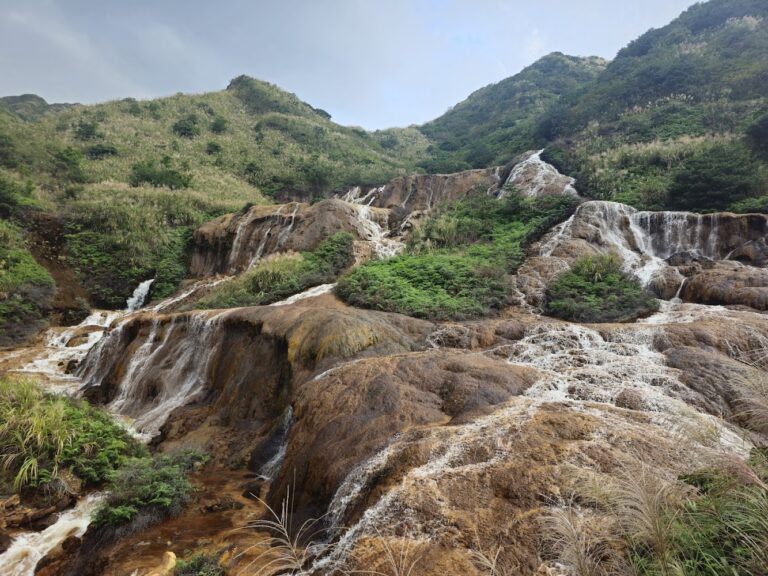 初夏黃金雨懶人包 全台 10 大阿勃勒與黃金系風景地圖