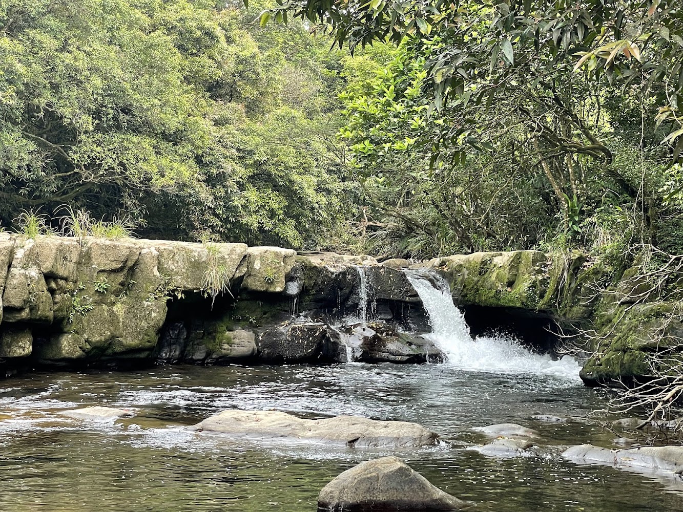 虎霸潭一日遊深度評測：北勢溪畔最療癒的親水步道、溪景秘境與行前重點整理