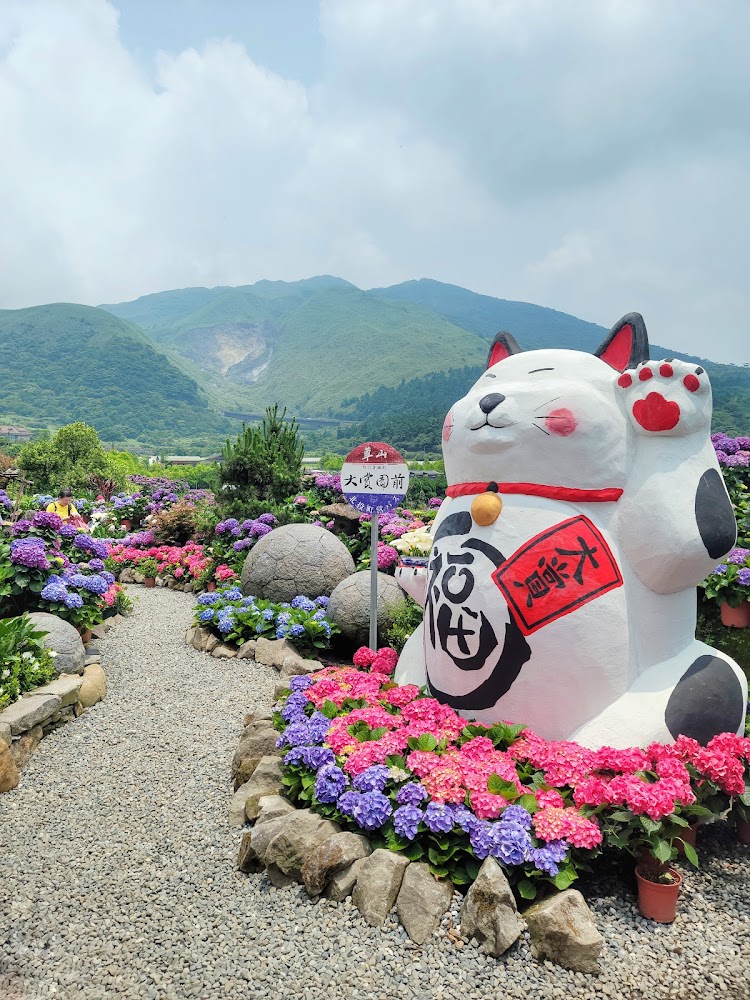 北投大賞園深度開箱｜竹子湖繡球花、海芋花田與小油坑山景一次收進相機