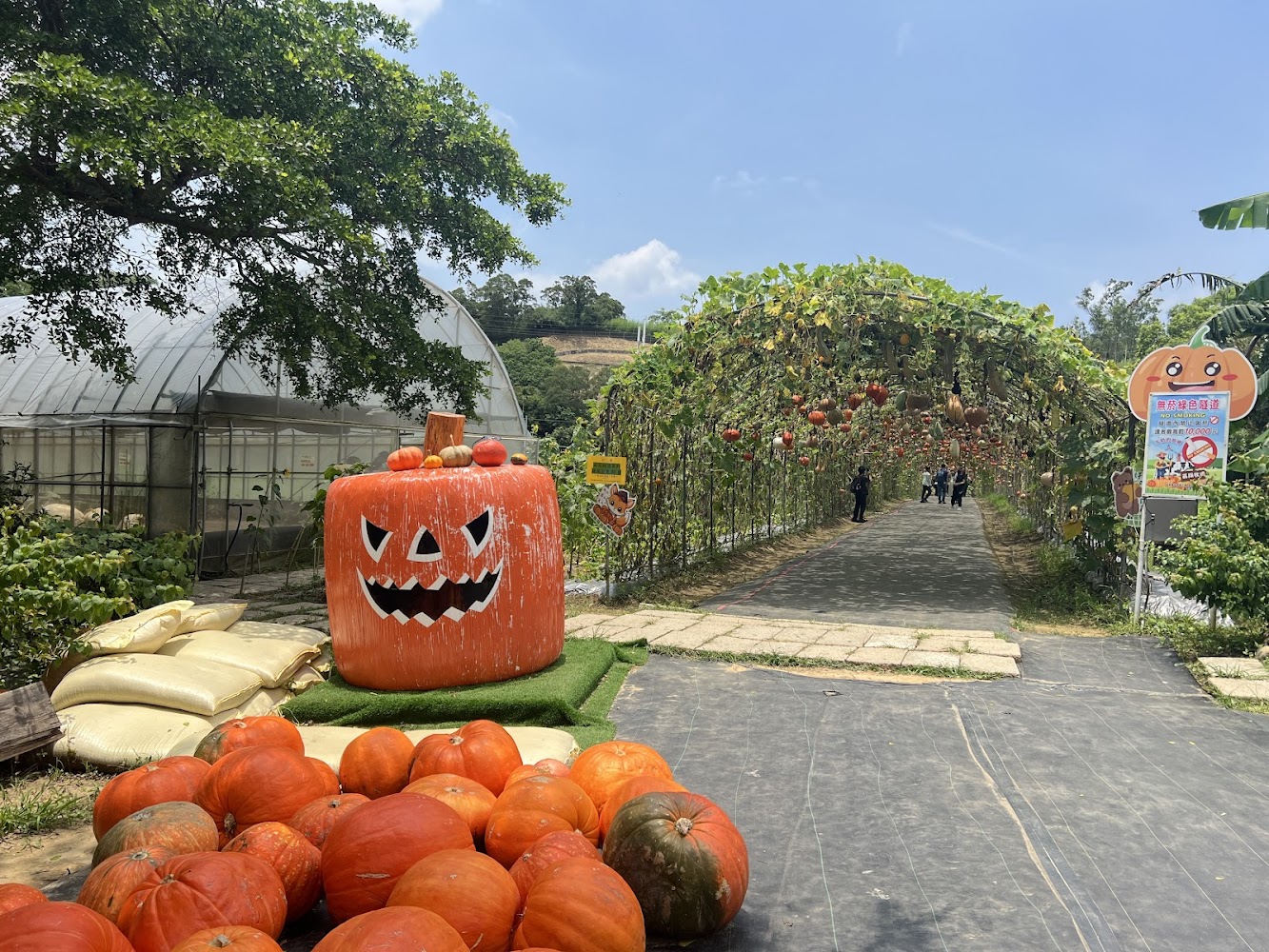 苗栗造橋南瓜節懶人包｜南瓜隧道、龍昇湖散步、美食採買一次看