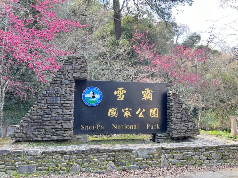 雪霸國家公園深度旅遊指南:高山步道、櫻花花海與四季山林一次看