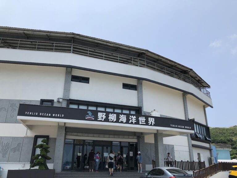 野柳海洋世界深度開箱：表演時間、門票亮點、親子玩法與野柳一日遊攻略
