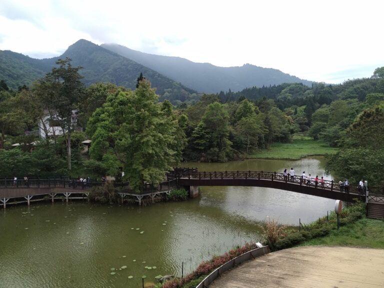 向天湖弧形木棧橋全景，晨霧山脈，苗栗南庄旅遊景點