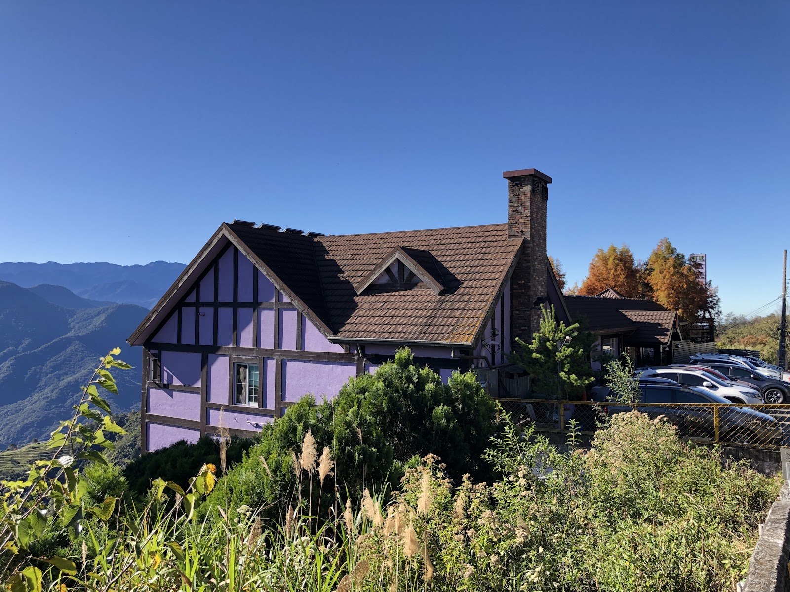 清境農場紫色歐式小屋，背景連綿山脈與橘紅落葉松，秋色濃郁