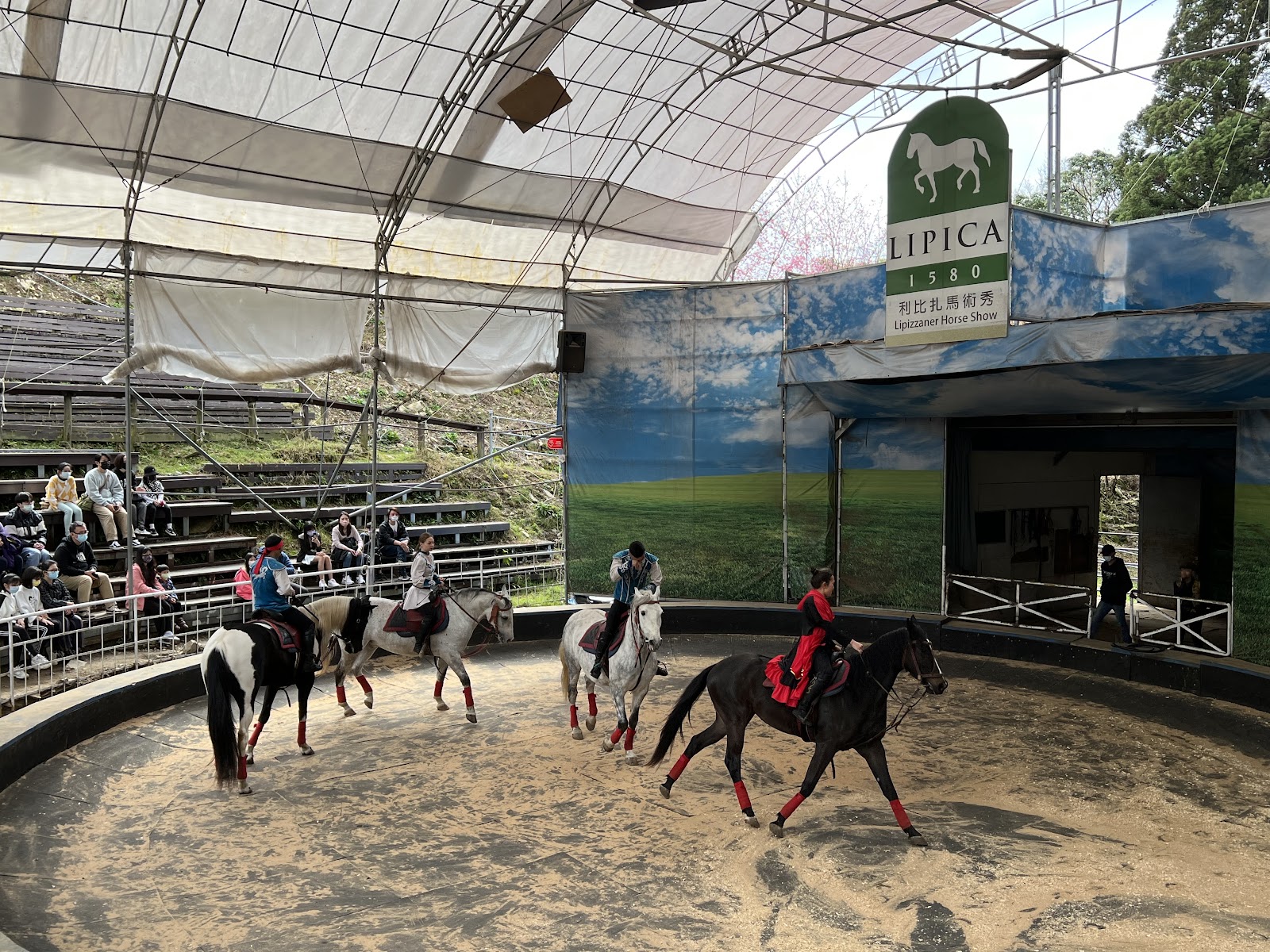 清境農場利比扎馬術秀，三匹馬在馬場內同步表演，LIPICA 1580 看板