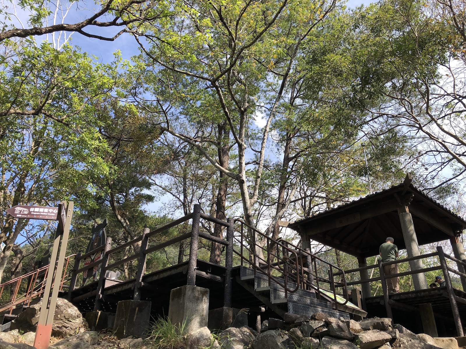 捎來步道山頂木製觀景亭，高聳樹木環繞，藍天穿透林間