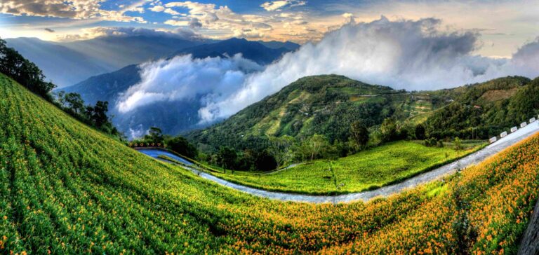 太麻里金針山全景，橙色金針花田瀑布覆蓋山坡兩側，雲霧繚繞山谷，台東景點推薦