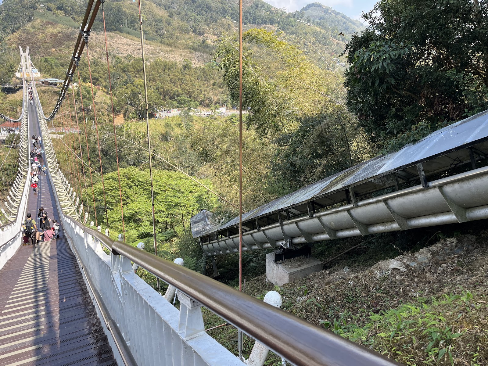 從太平雲梯側邊高處俯瞰橋面，遊客行走，右側太陽能板屋頂，綠樹山丘